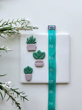 Load image into Gallery viewer, House Plant Set | Garden Clay Cutter